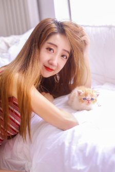 叮当动漫